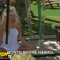 baywatch_TV_Hawaiian-Wedding_028