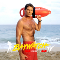Baywatch_Hawaiian_Wedding_david_hasselhoff_92